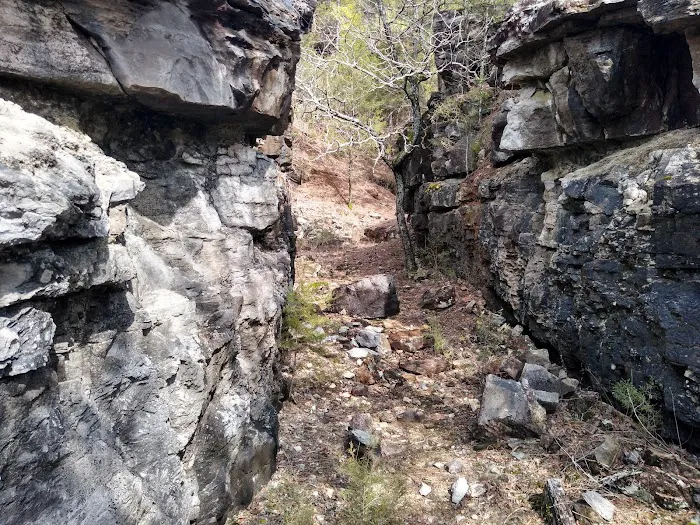 Rush Campground 6