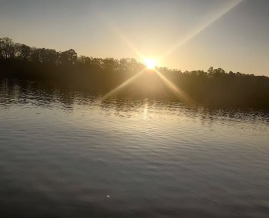 Burger Landing Campground