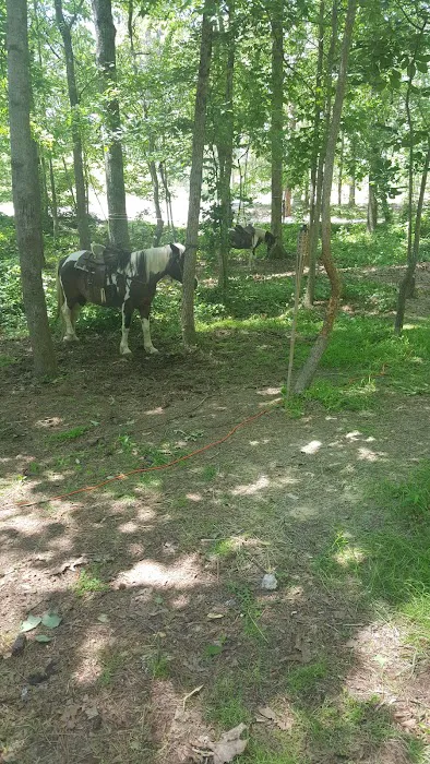 Warden Station Horse Camp 4