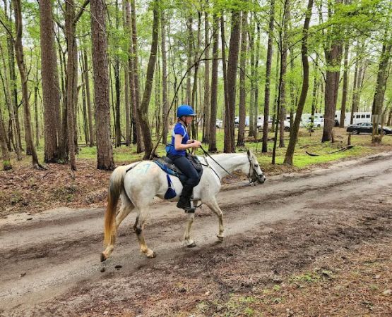 Warden Station Horse Camp