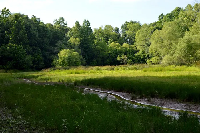 Brush Creek Park 3