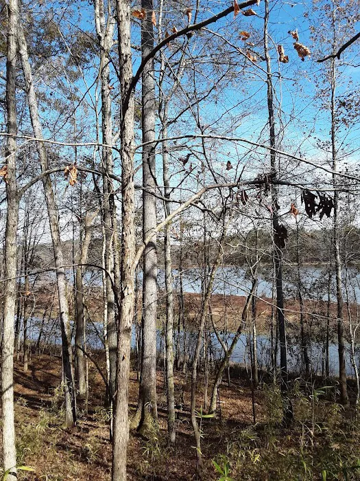 Brush Creek Park 9