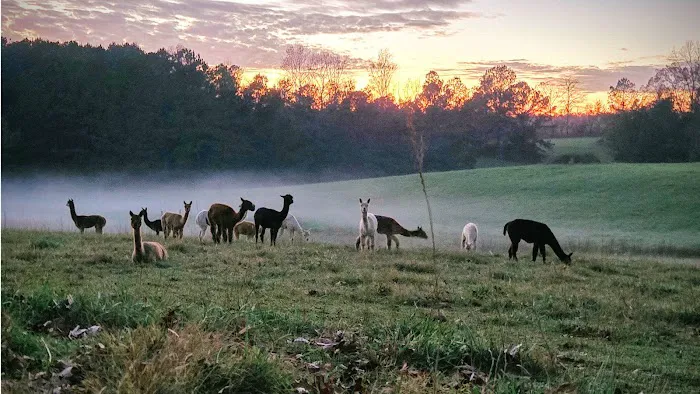 Tapestry Acres 0