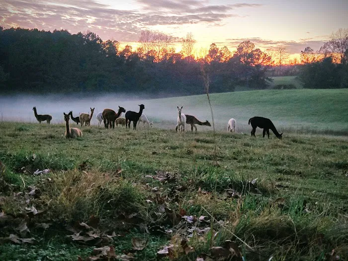 Tapestry Acres 6
