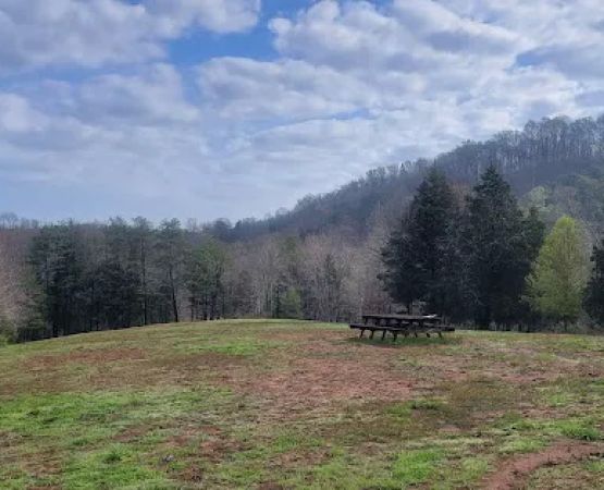 The Meadow @ Burnsy Acres