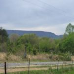 Irie Vibes Campground