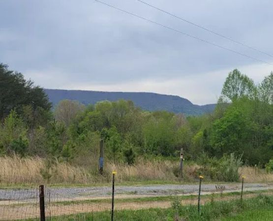 Irie Vibes Campground