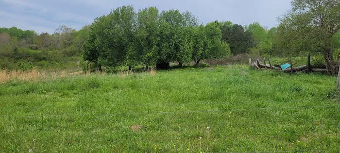 Irie Vibes Campground 5