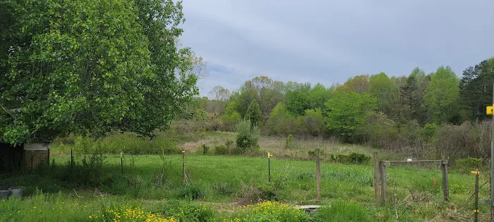 Irie Vibes Campground 4