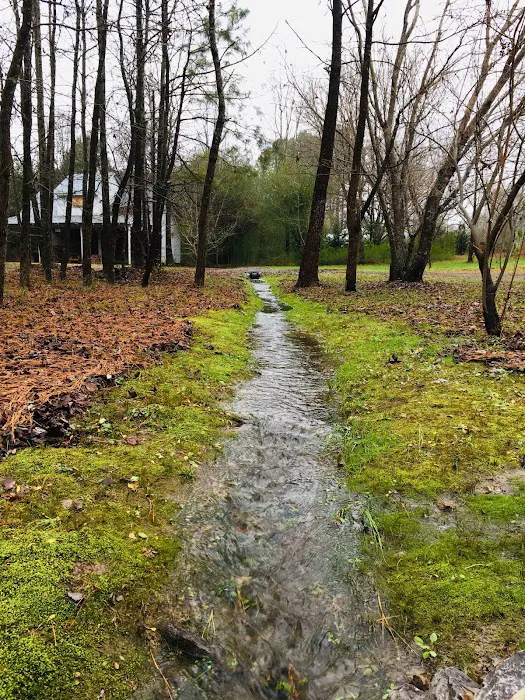 tiny HOUSE CAMPGROUND 6