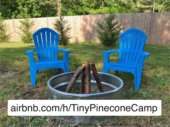 tiny PINECONE CAMP 0