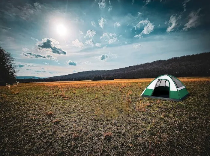 Ole Limestone - Camping 2