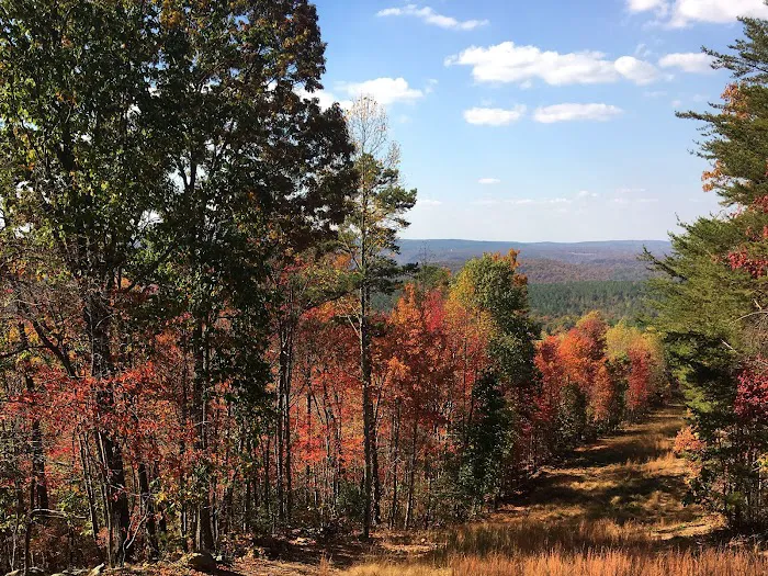 Outpost RV and Tent Sites at Camp Chet (Reservations required) 3