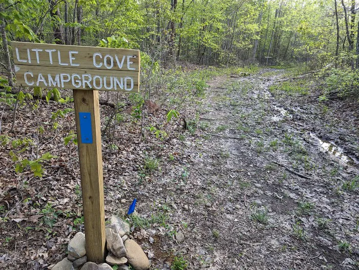 Little Cove Campground 1