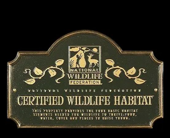 Black Bear Plantation, LLC (Campsites)