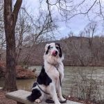 Gee Creek Campground