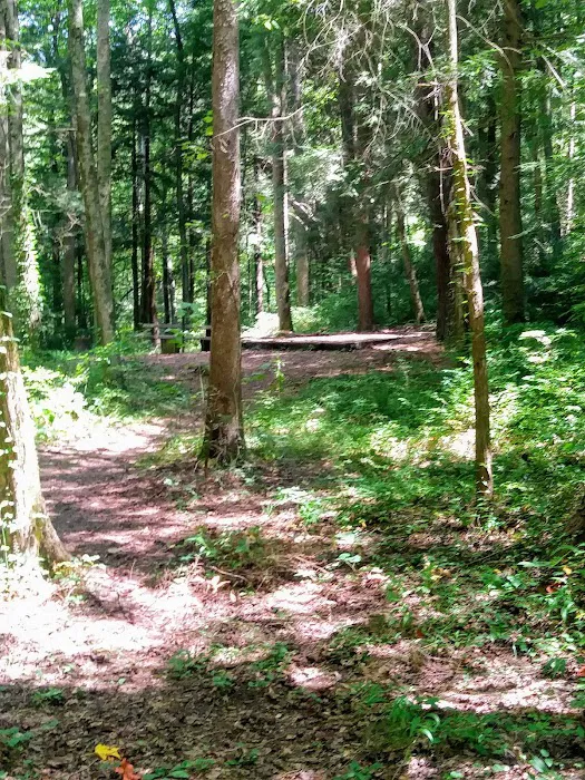 Lost Creek Recreation Area 9