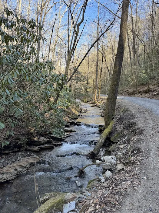 Lost Creek Campground 4