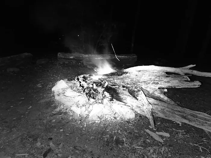 Backcountry Campsite #95 0