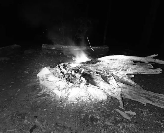 Backcountry Campsite #95
