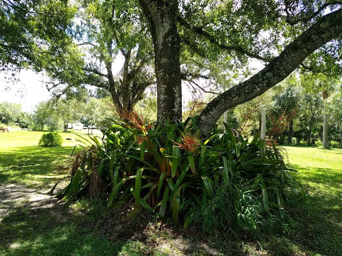 Sunnier Palms Nudist Park and Campground 9