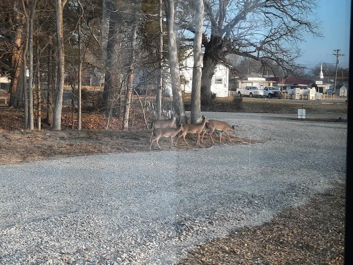 Deer Rest Campground 2