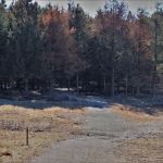 SHAWNEE BEND (recgovnpsdata)