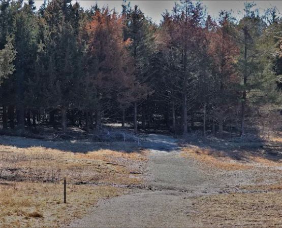 SHAWNEE BEND (recgovnpsdata)