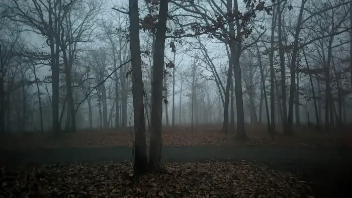 Devil's Backbone Campground 0