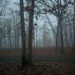 Devil's Backbone Campground