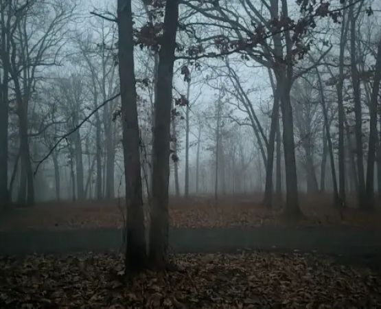 Devil's Backbone Campground