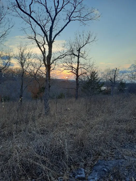 Devil's Backbone Campground 4