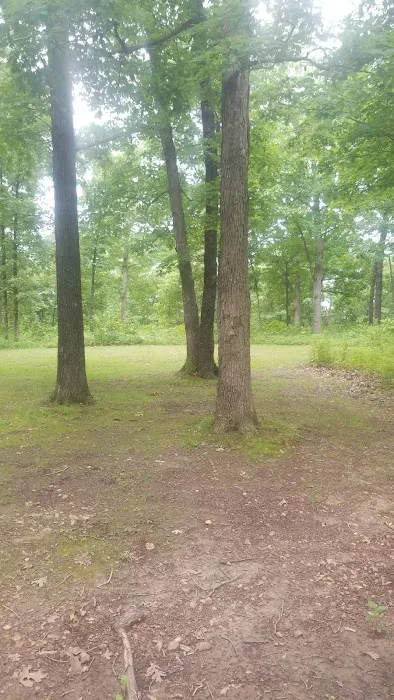 Devil's Backbone Campground 7