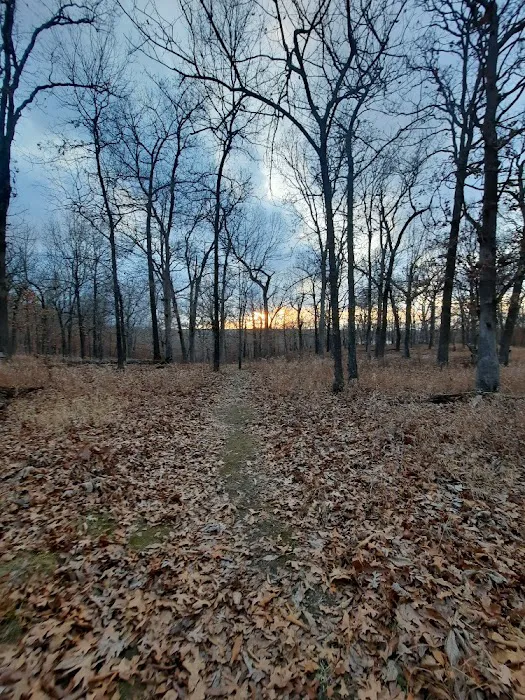 Devil's Backbone Campground 8