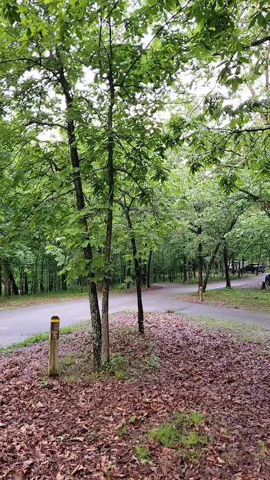 Buck Ridge Campground 8