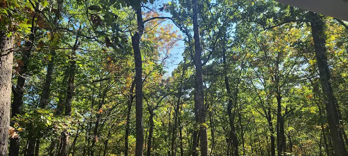 Buck Ridge Campground 6