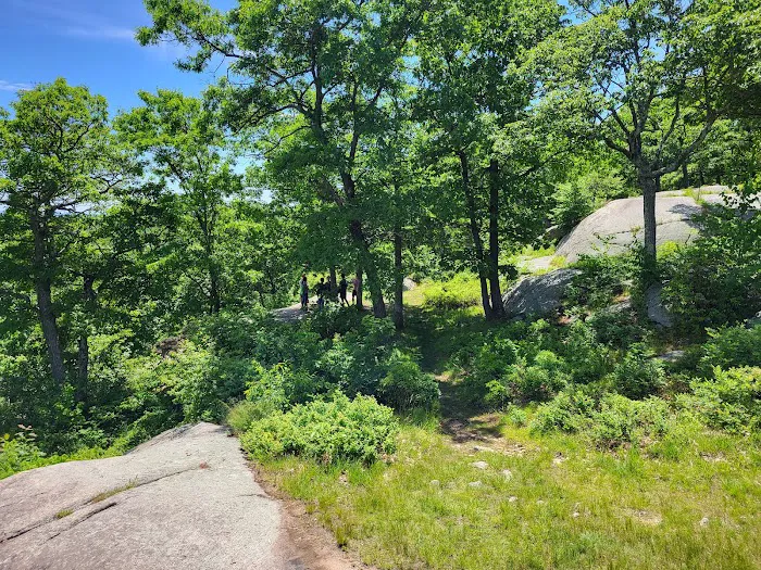 Big Hill Shelter 6
