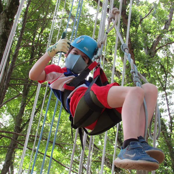 Mosholu Day Camp 5