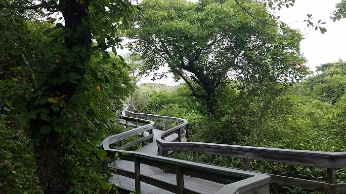 Watch Hill Fire Island Campground & Safari Tent Glamping 9