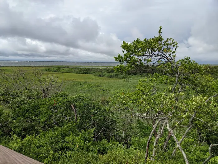 Watch Hill Fire Island Campground & Safari Tent Glamping 1