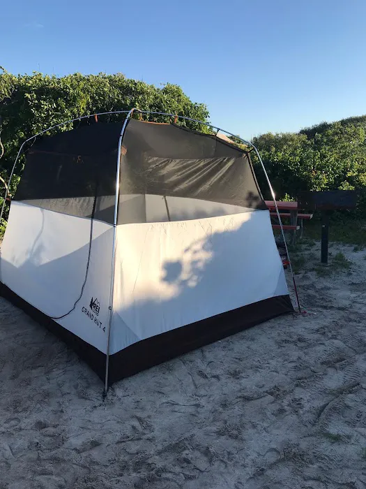 Fire Island 2