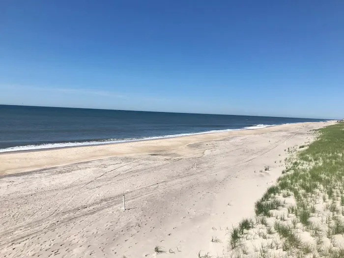 Fire Island 1