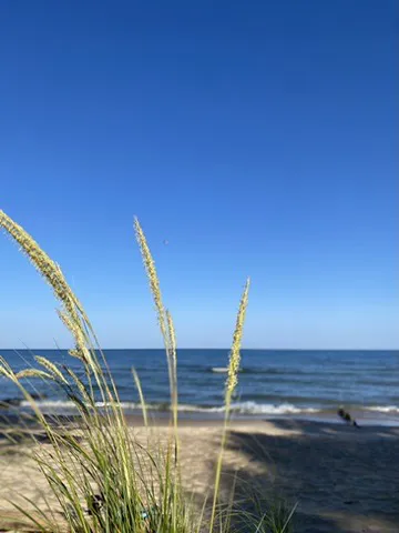Covert Park Beach & Campground 3
