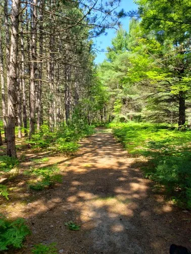 Kalkaska RV Park & Campground 7