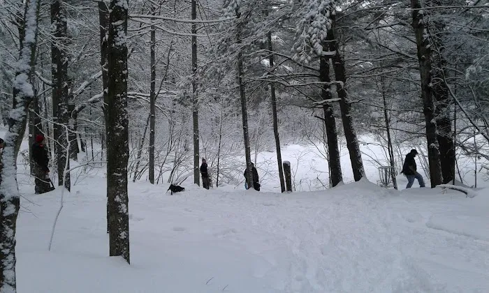 Log Lake Campground 3