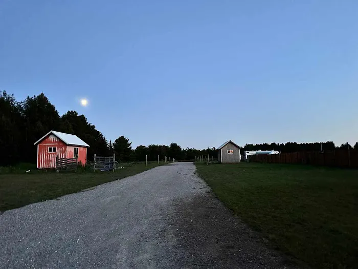 Lively Acres Campground 6