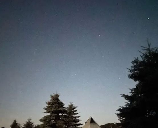 Lively Acres Campground