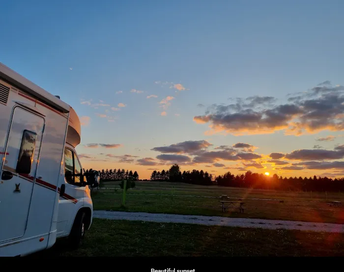 Lively Acres Campground 7