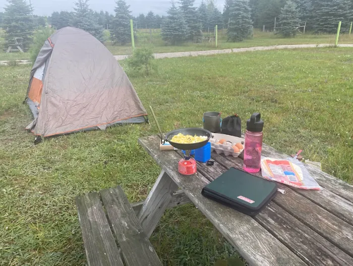 Lively Acres Campground 5