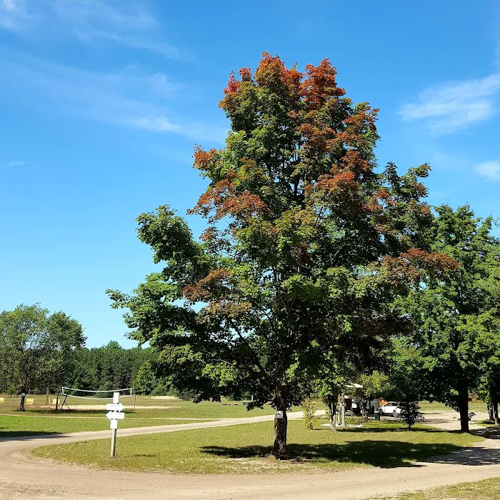 Betsie River Canoes & Campground 8